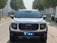 2021 Haval Dargo 1.5T DCT 2WD Wangcai, белый — фото 2
