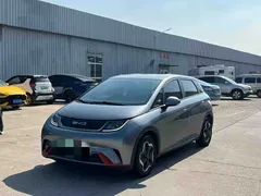 2021 BYD Dolphin 405km Fashion — фото 1