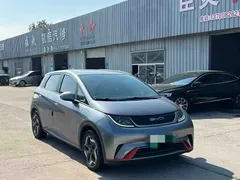2021 BYD Dolphin 405km Fashion — фото 3