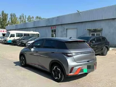 2021 BYD Dolphin 405km Fashion — фото 4