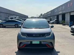2021 BYD Dolphin 405km Fashion — фото 9