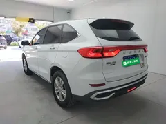 2021 Haval M6 Plus 1.5T DCT Elite, белый — фото 5