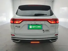 2021 Haval M6 Plus 1.5T DCT Elite, белый — фото 6