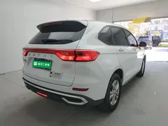 2021 Haval M6 Plus 1.5T DCT Elite, белый — фото 7