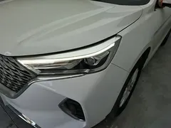 2021 Haval M6 Plus 1.5T DCT Elite, белый — фото 24