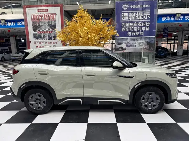 2024 BYD Yuan UP 401km Vitality