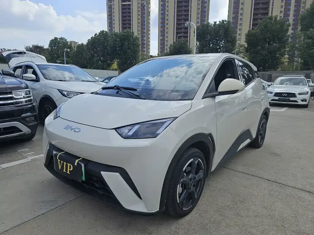 2023 BYD Seagull Vitality