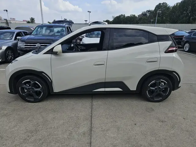 2023 BYD Seagull Vitality