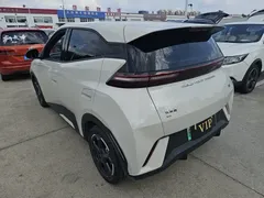 2023 BYD Seagull Vitality, белый — фото 13