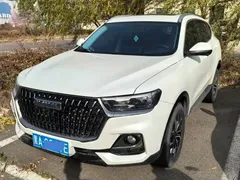2023 Haval H6 1.5T AT Guochao Urban, белый — фото 1