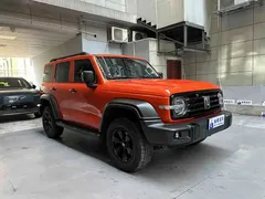 2021 Tank 300 Off-road 2.0T Conqueror — фото 18