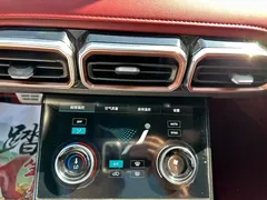 2021 Jetour X70 PLUS 1.6T DCT PRO+ 5-seat, белый — фото 13