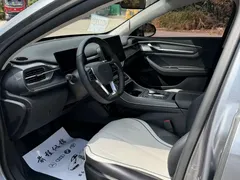 2024 BYD Destroyer 05 DM-i PHEV 55km Luxury — фото 4