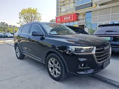 2021 Haval H6 1.5GDIT AT Guochao Champion, чёрный — фото 3