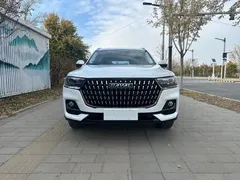 2023 Haval H6 1.5T AT Guochao Urban, белый — фото 3