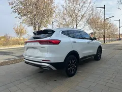2023 Haval H6 1.5T AT Guochao Urban, белый — фото 9