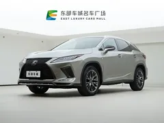 2020 Lexus RX 300 4WD F SPORT — фото 1