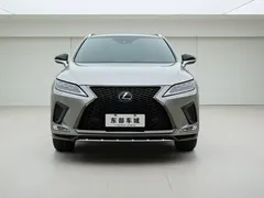 2020 Lexus RX 300 4WD F SPORT — фото 2