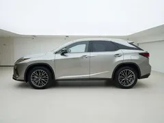 2020 Lexus RX 300 4WD F SPORT — фото 3