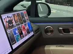 2025 Li Auto i6 2WD Standard — фото 9