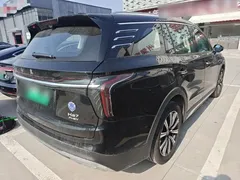 2025 Hongqi HS7 2.0T PHEV 4WD 2 Millionth Unit Commemorative Edition 6-seat, чёрный — фото 7