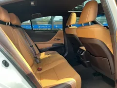 2020 Lexus ES 200 Excellence, белый — фото 12
