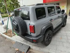 2021 Tank 300 Off-road 2.0T Conqueror — фото 7