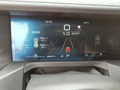 2021 Tank 300 Off-road 2.0T Conqueror — фото 12