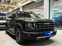 2022 Haval Dargo 2.0T DCT 4WD Chinese Rural Dog Edition, зелёный — фото 3