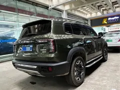 2022 Haval Dargo 2.0T DCT 4WD Chinese Rural Dog Edition, зелёный — фото 4