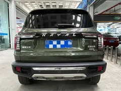 2022 Haval Dargo 2.0T DCT 4WD Chinese Rural Dog Edition, зелёный — фото 5