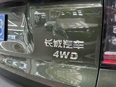 2022 Haval Dargo 2.0T DCT 4WD Chinese Rural Dog Edition, зелёный — фото 8