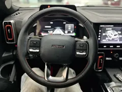 2022 Haval Dargo 2.0T DCT 4WD Chinese Rural Dog Edition, зелёный — фото 13