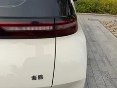 2025 BYD Seagull 305km Vitality, белый — фото 20
