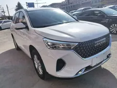 2021 Haval M6 Plus 1.5T MT Elite, белый — фото 4