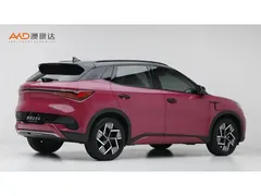2023 BYD Yuan PLUS EV 510km Flagship — фото 3