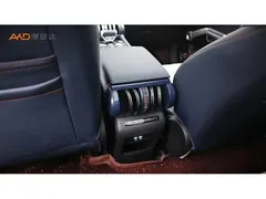 2023 BYD Yuan PLUS EV 510km Flagship — фото 9