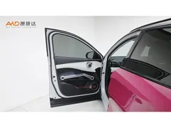 2023 BYD Yuan PLUS EV 510km Flagship — фото 10