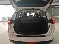 2021 Haval H6 3rd Gen 1.5T AT 2WD Max, белый — фото 19