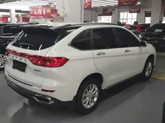 2021 Haval M6 Plus 1.5T DCT Luxury, белый — фото 7