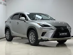 2020 Lexus NX 200 4WD Fashion — фото 3