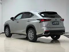 2020 Lexus NX 200 4WD Fashion — фото 4