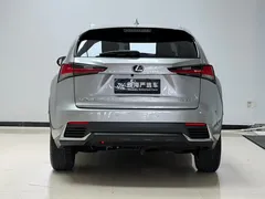 2020 Lexus NX 200 4WD Fashion — фото 5
