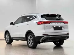 2021 Haval H6 1.5T AT Champion, белый — фото 29