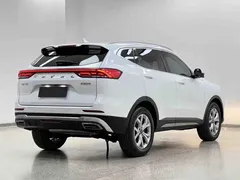 2021 Haval H6 1.5T AT Champion, белый — фото 31