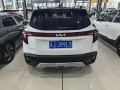 2023 Kia Seltos 1.5L CVT Luxury, белый — фото 5