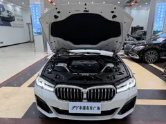 2023 BMW 5 Series 530Li Leading M Sport Package, белый — фото 25