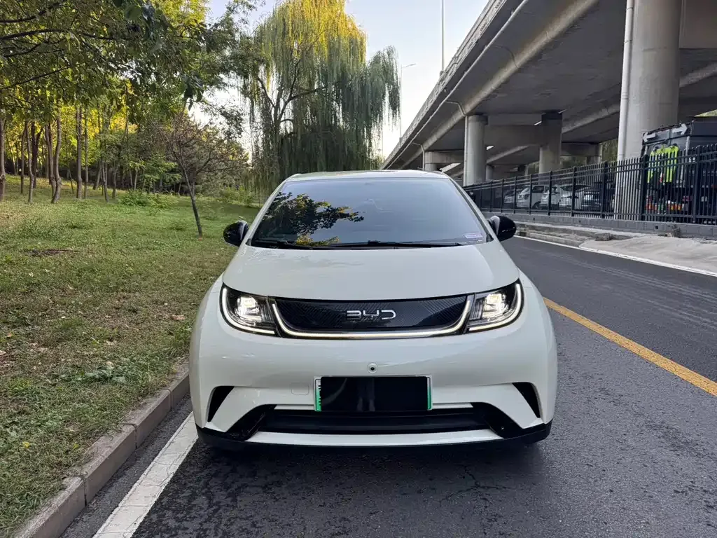 2024 BYD Dolphin Glory 420km Freedom