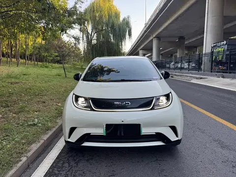 2024 BYD Dolphin Glory 420km Freedom