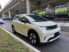 2024 BYD Dolphin Glory 420km Freedom, белый — фото 2